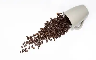 Descubre dónde comprar café especialidad de calidad
