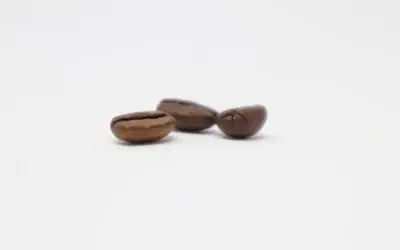 Disfruta del Mejor Café de Especialidad en tu Café Favorito