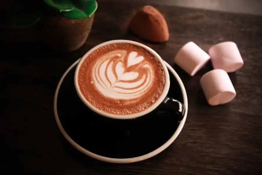 specialty coffee